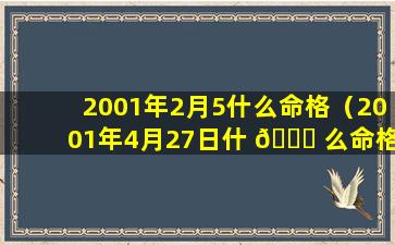 2001年2月5什么命格（2001年4月27日什 🕊 么命格）